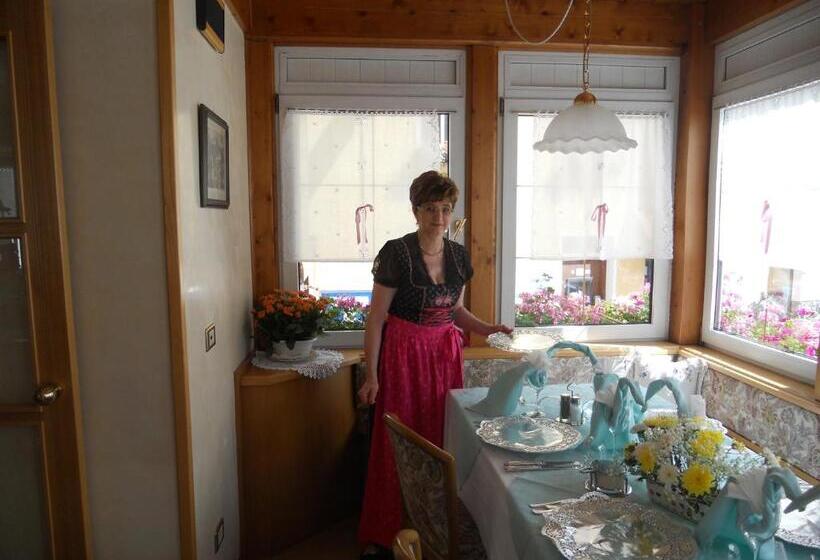 Отель Albergo Alpino