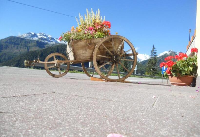 Отель Albergo Alpino