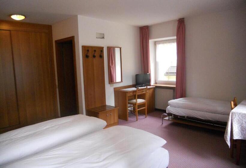 ホテル Albergo Alpino