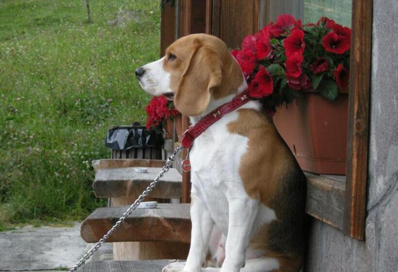 酒店 Albergo Chalet Lago Antorno