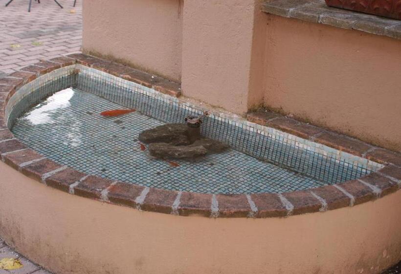 Отель Albergo El Rancho