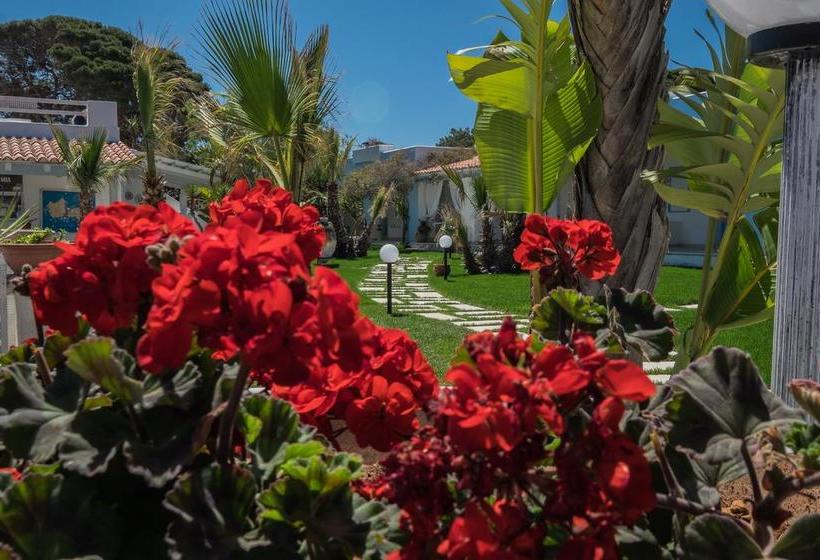 Отель Albergo Isola Mia