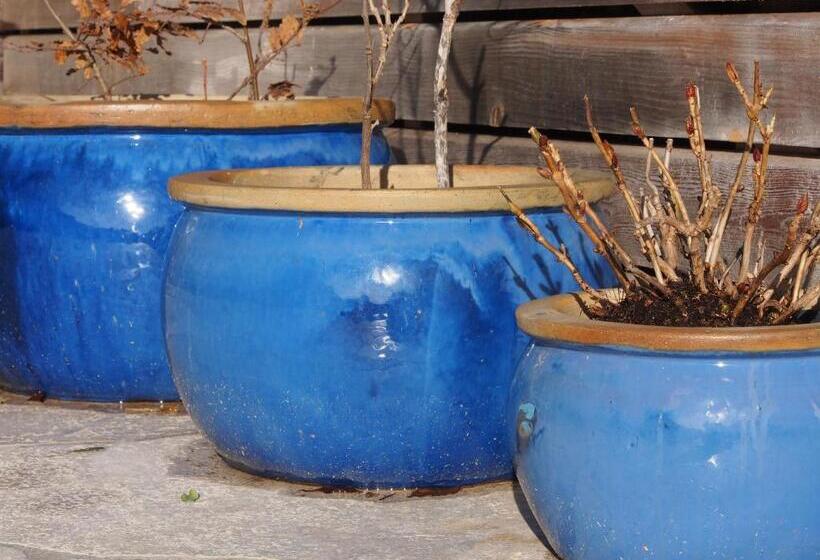 فندق Casa Del Pittore