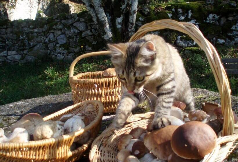 فندق Hôtel Auberge Du Combaïre