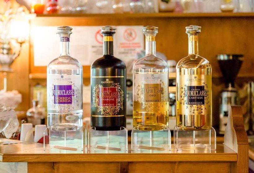 酒店 Monte Civetta