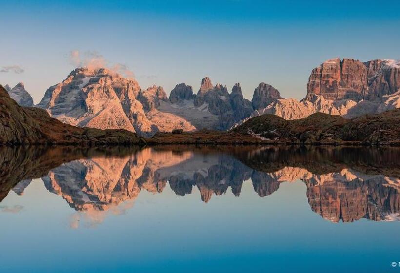 فندق Olympic Regina