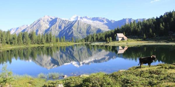 בית מלון כפרי Olympic Regina