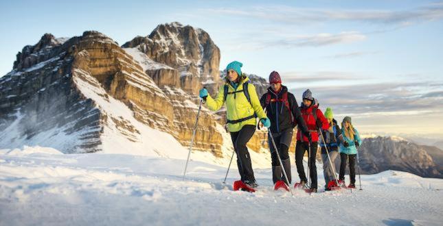 فندق Olympic Regina