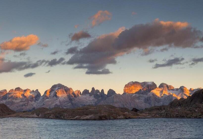 فندق Olympic Regina