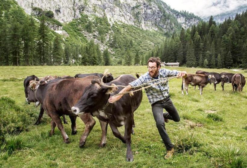 בית מלון כפרי Olympic Regina