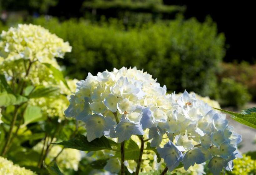 Park Hotel Villa Belvedere