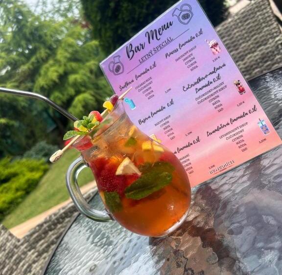 هتل Penzion Benedikti