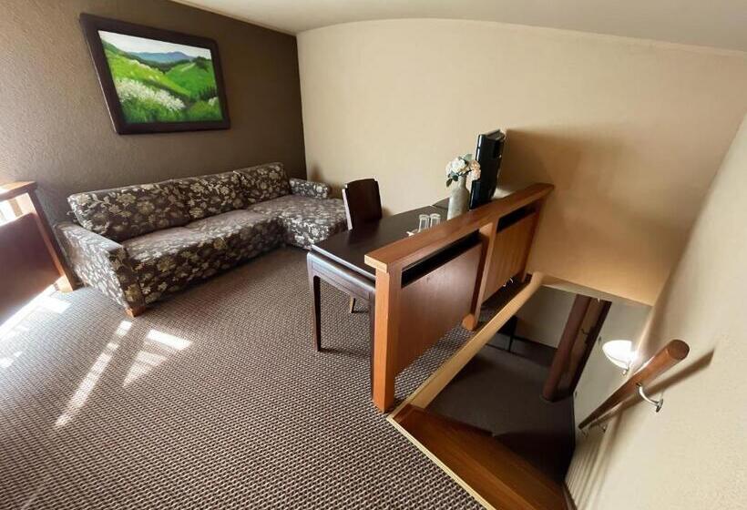 هتل Penzion Benedikti