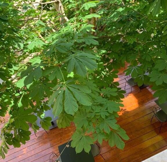 בית מלון כפרי Relais Real Collegio