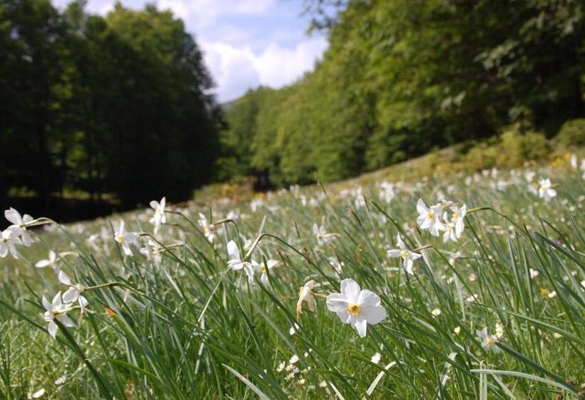 בית מלון כפרי Rifugio Casello Margherita