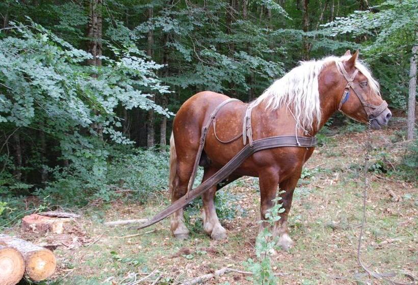 בית מלון כפרי Rifugio Casello Margherita