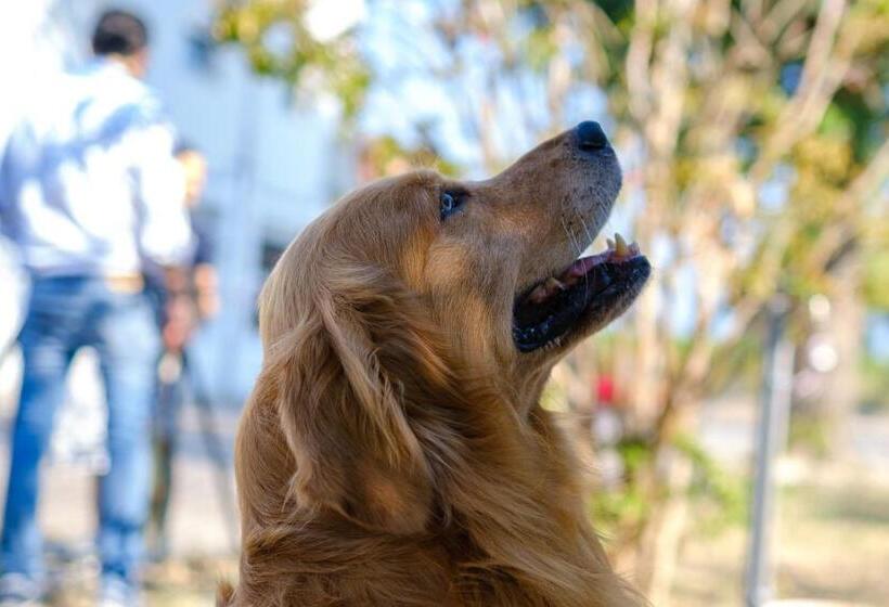 בית מלון כפרי Ristorante Brusco