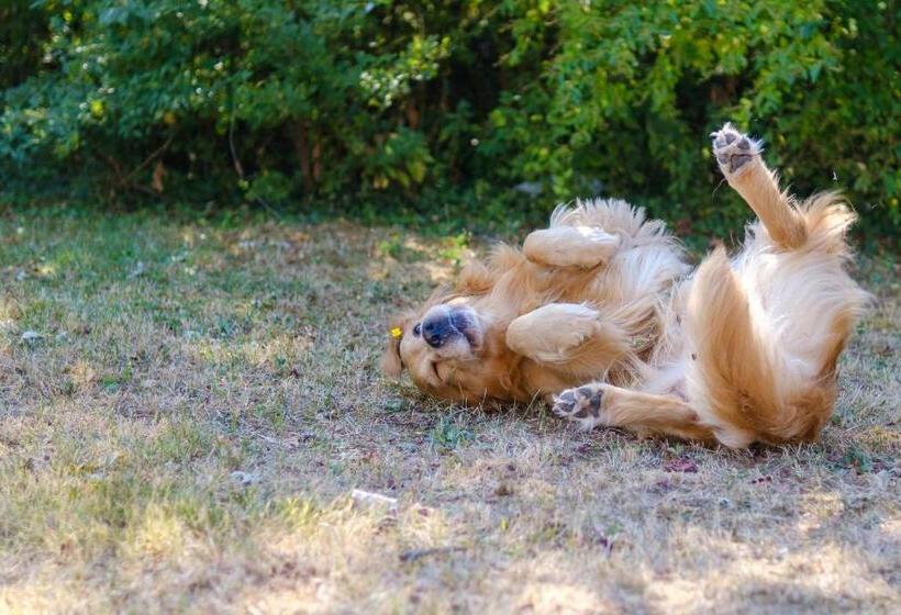 בית מלון כפרי Ristorante Brusco