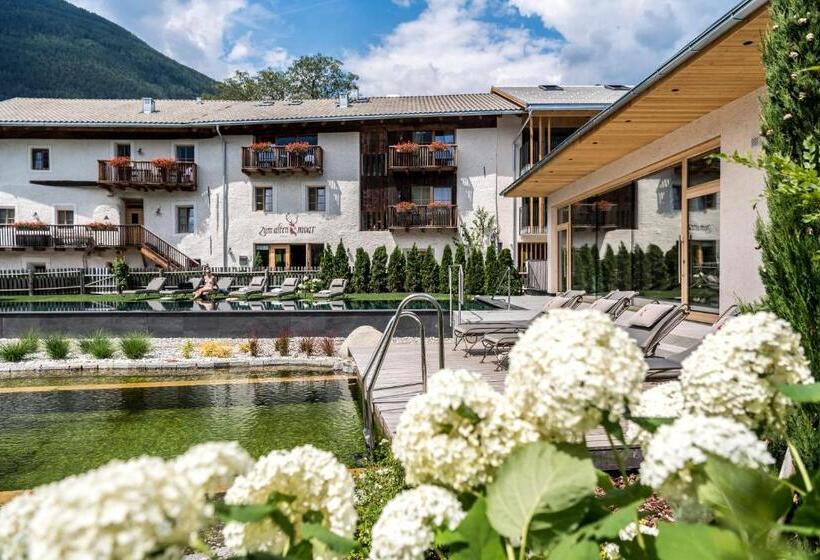 בית מלון כפרי Zum Alten Moar