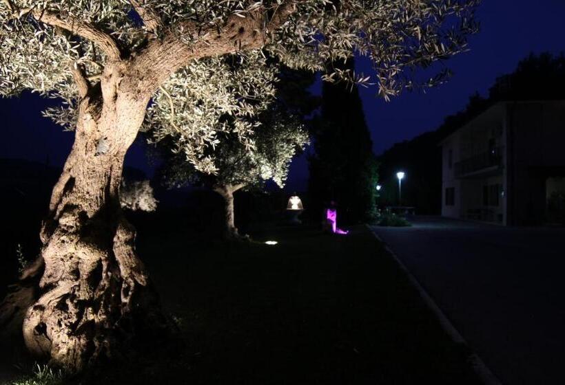 Il Villino Agriturismo B&b