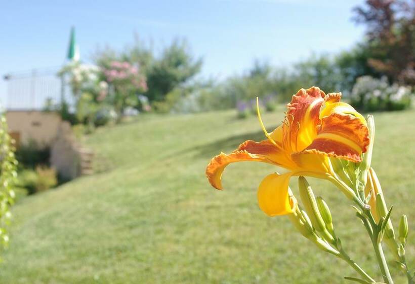 Naturalmente Wine Resort