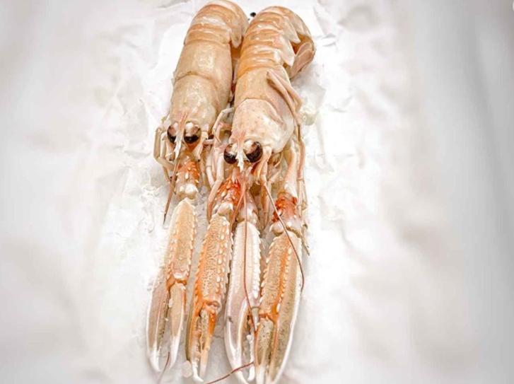 Ristorante Hotel Lucia 100 Mt Dal Mare