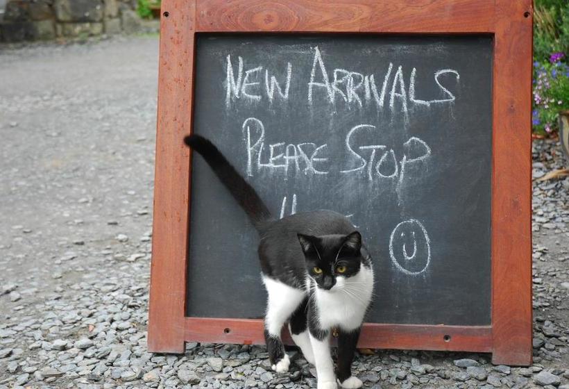 צימר The Slate Shed At Graig Wen