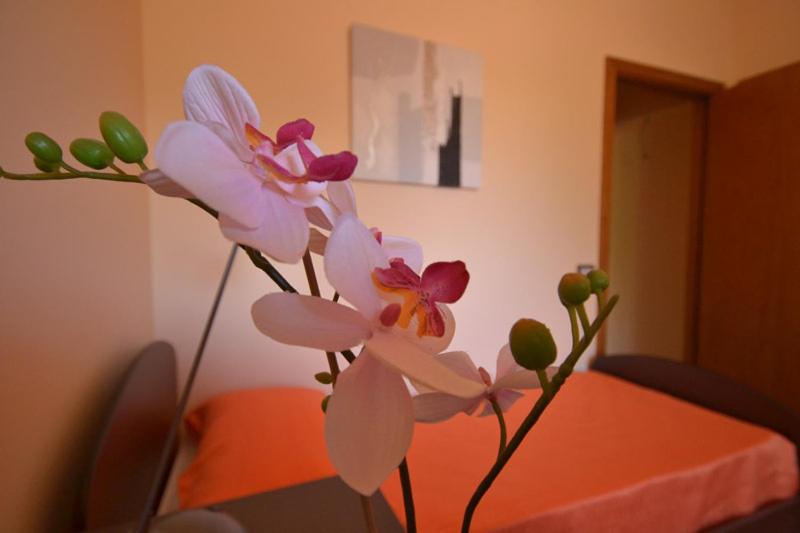 Villa Adriana B&b