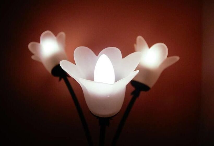 B&b Baglio Degli Ulivi