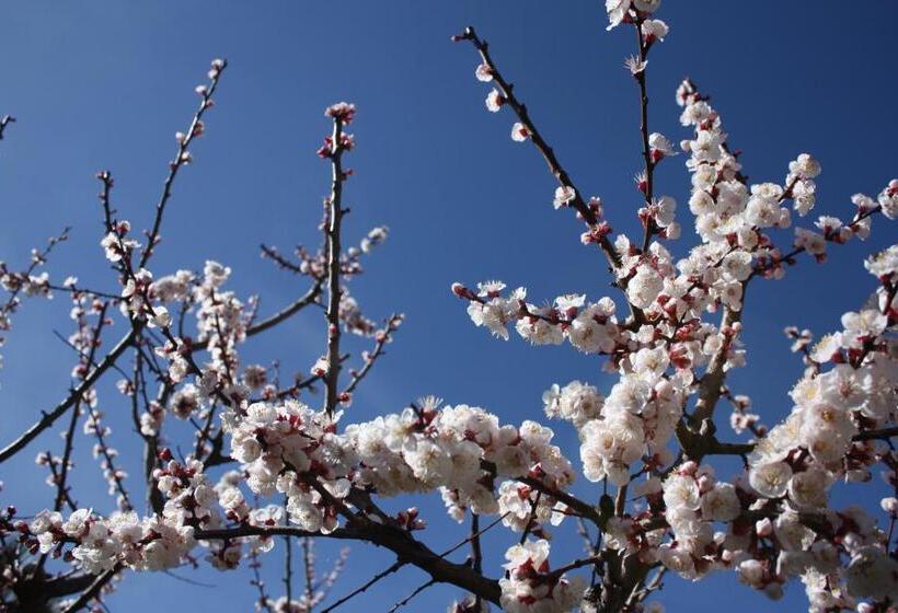 Bed & Breakfast Casa Di Mari