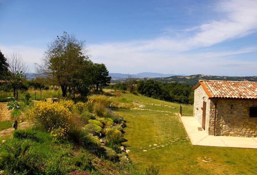 B&b Casale Di Poggioferro