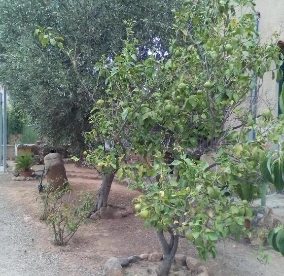B&b Il Vigneto