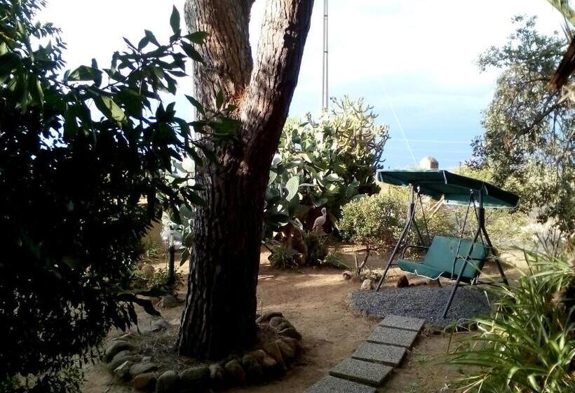 B&b Il Vigneto