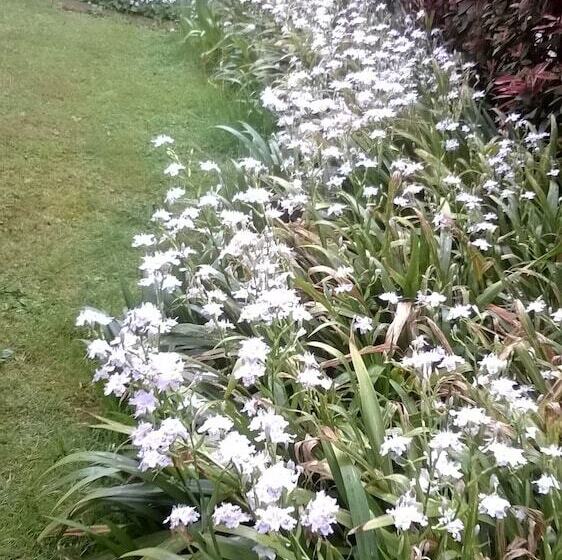 مبيت وإفطار Le Tre Grazie