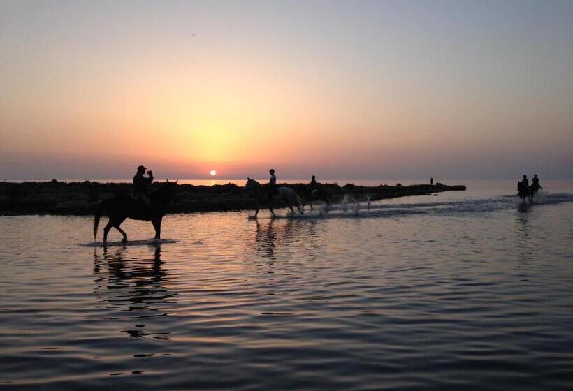 Al Vecchio Pontile Bed And Breakfast