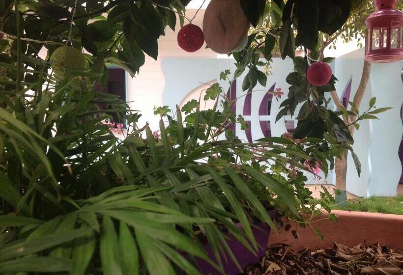 مبيت وإفطار A Casa Di Lolu