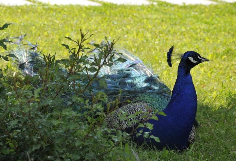 Bed and Breakfast Agriturismo Lemire