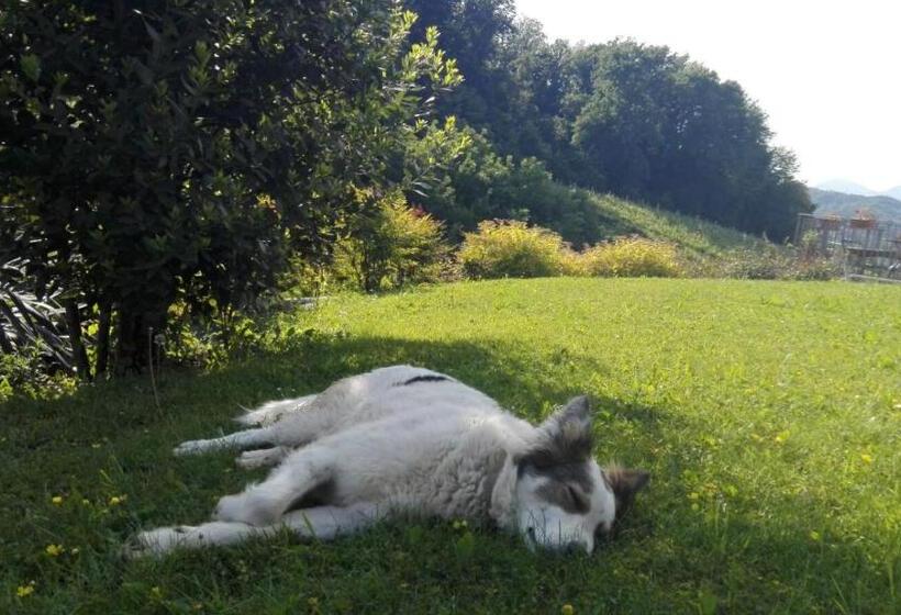 Bed and Breakfast Agriturismo Lemire