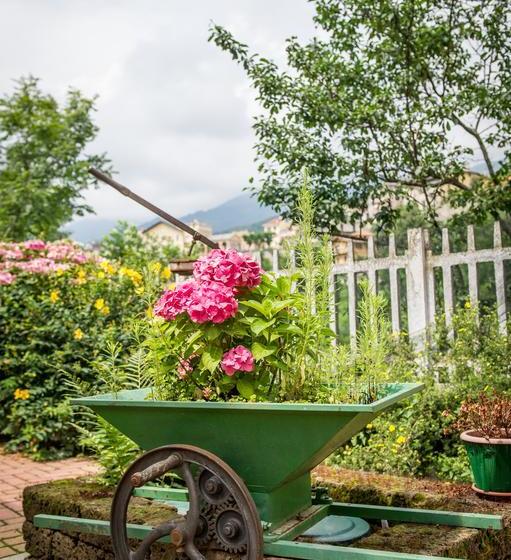 Bed and Breakfast Al Paschè