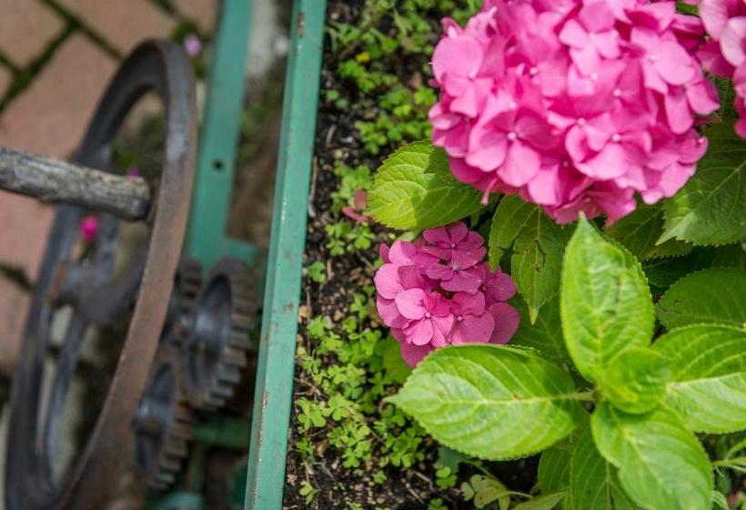 Bed and Breakfast Al Paschè