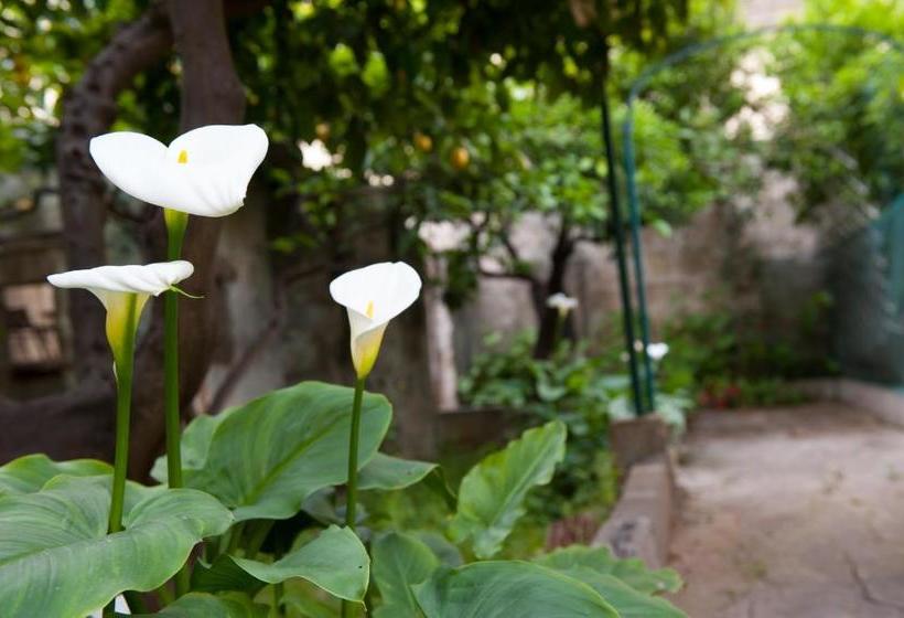 צימר Bed&breakfast Annapaola