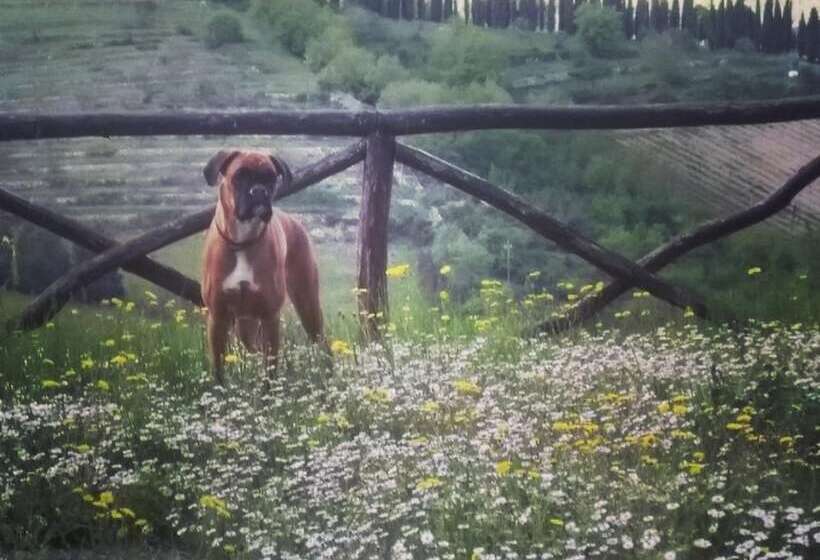 צימר Camere E Appartamenti Baldini Romanita