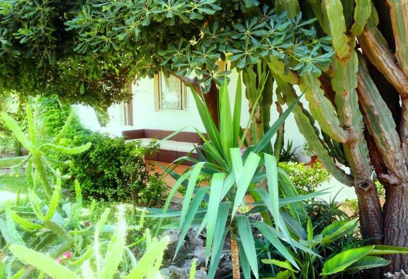 צימר Casa Surlamer