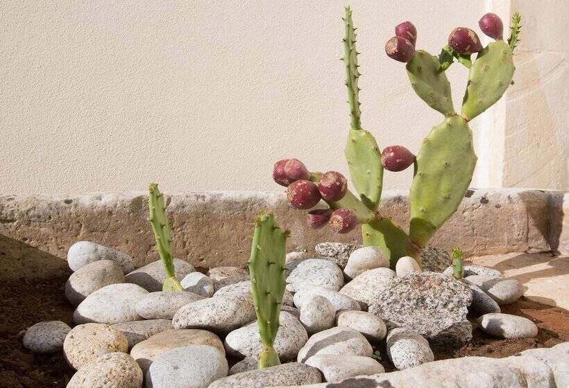 مبيت وإفطار Casina Dei Nonni