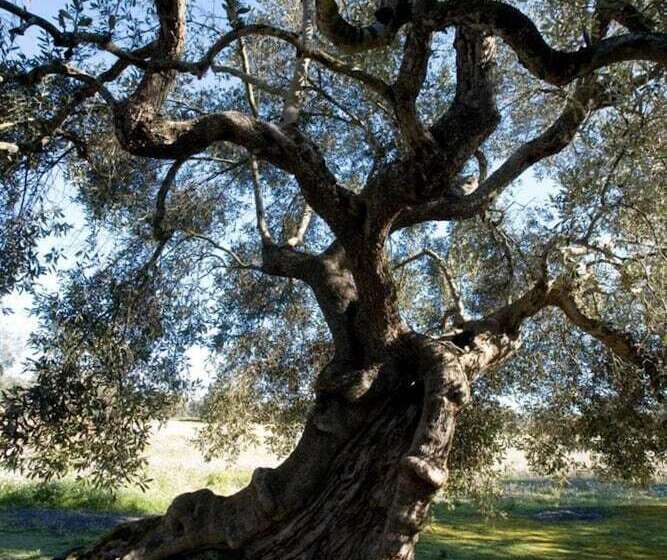 צימר Casina Dei Nonni