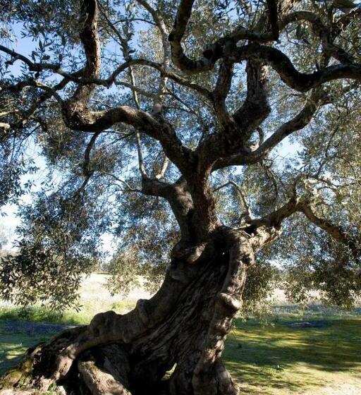 مبيت وإفطار Casina Dei Nonni