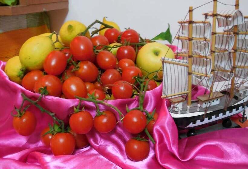 تختخواب و صبحانه Colomba Bianca