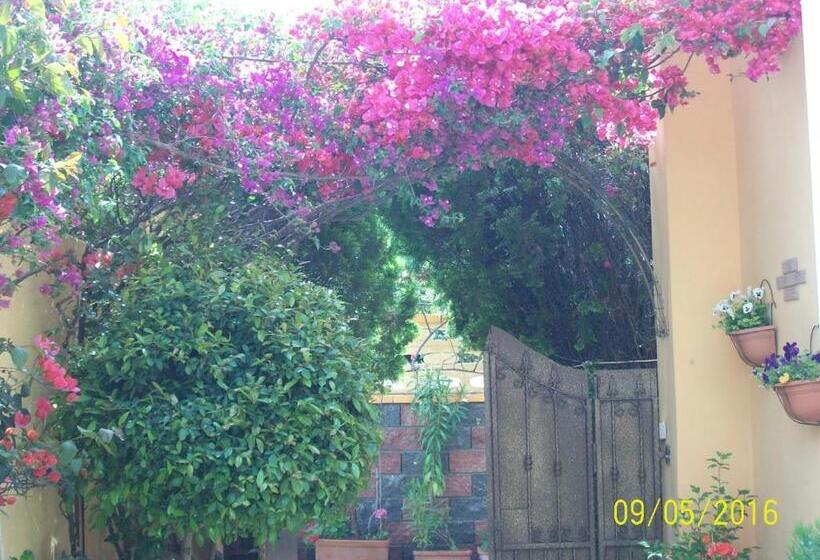 住宿加早餐 Domos Le Due Tuie