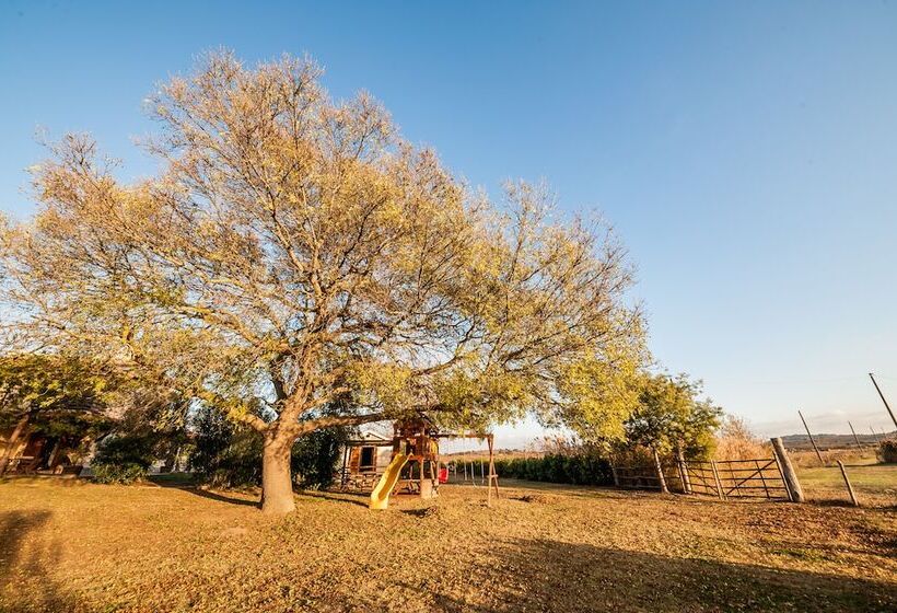 Bed and Breakfast El Molino
