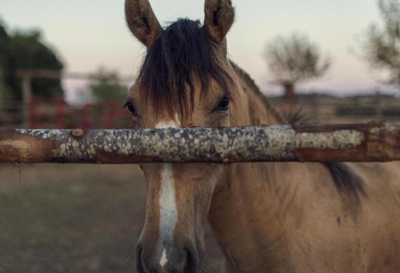 Bed and Breakfast El Molino